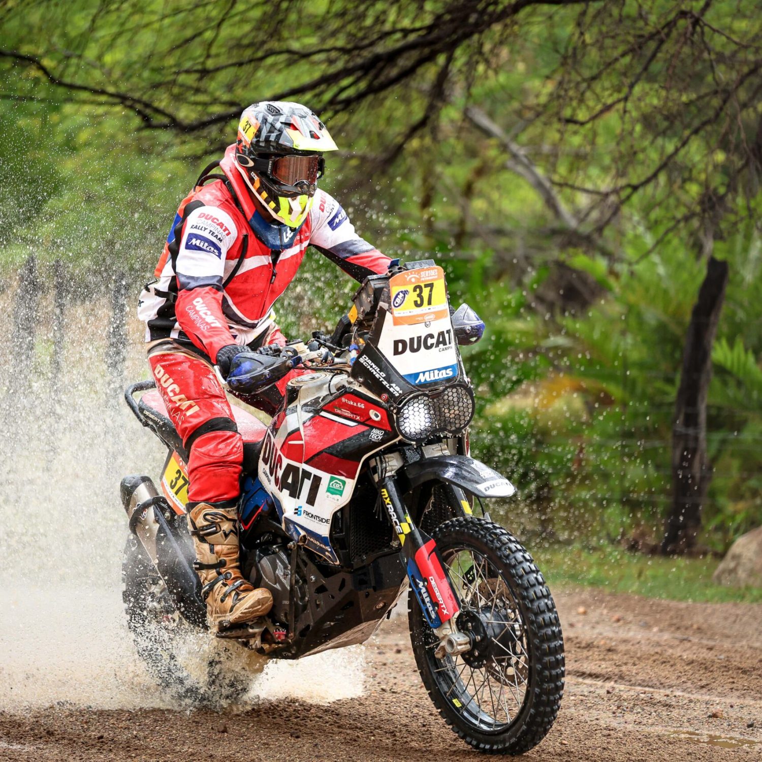 HannaGabriela_062774_149834