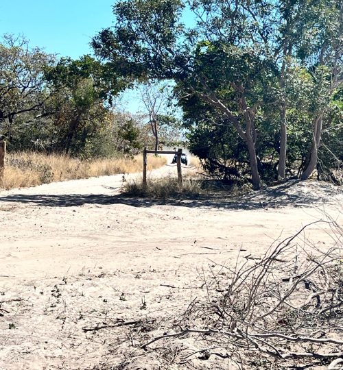 WhatsApp Image 2025-07-28 at 13.12.06